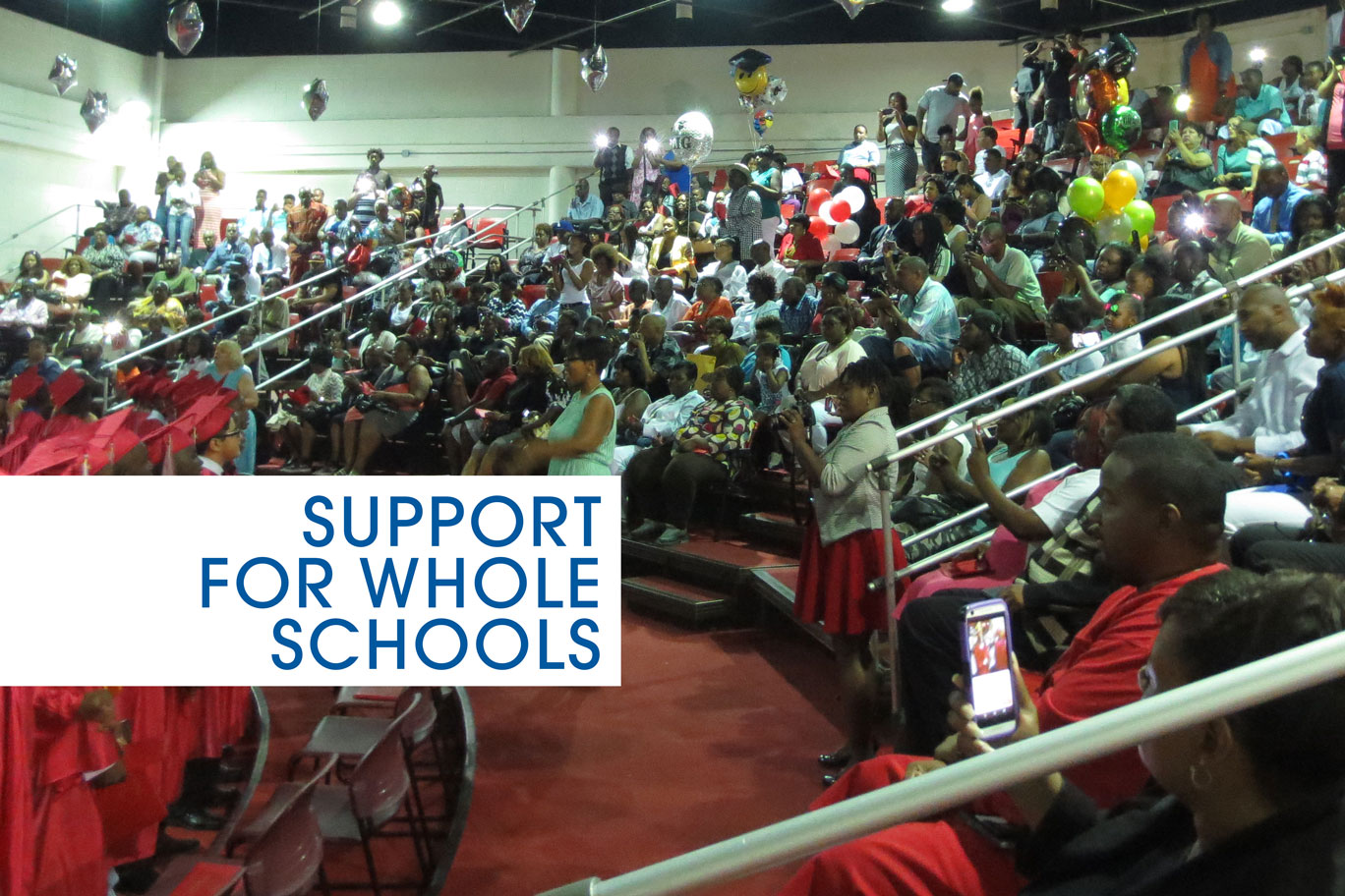 SUPPORT FOR WHOLE SCHOOLS